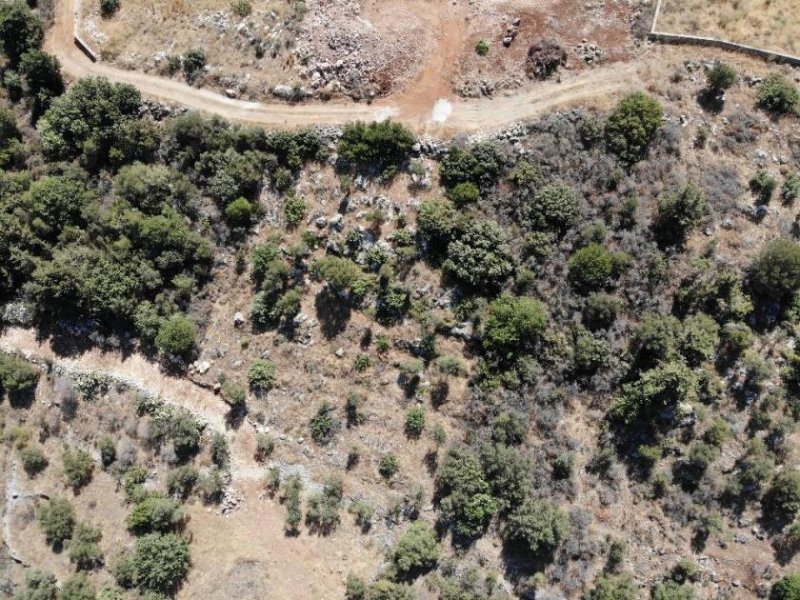 Neo Chorio im Apokoronas Kreta, Neo Chorio: Traumhaftes Grundstück mit Bergblick im Apokoronas zu verkaufen Grundstück kaufen